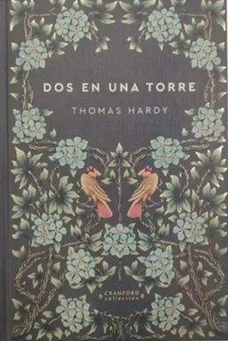 69 Dos en una torre 