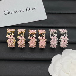 Dior new earrings