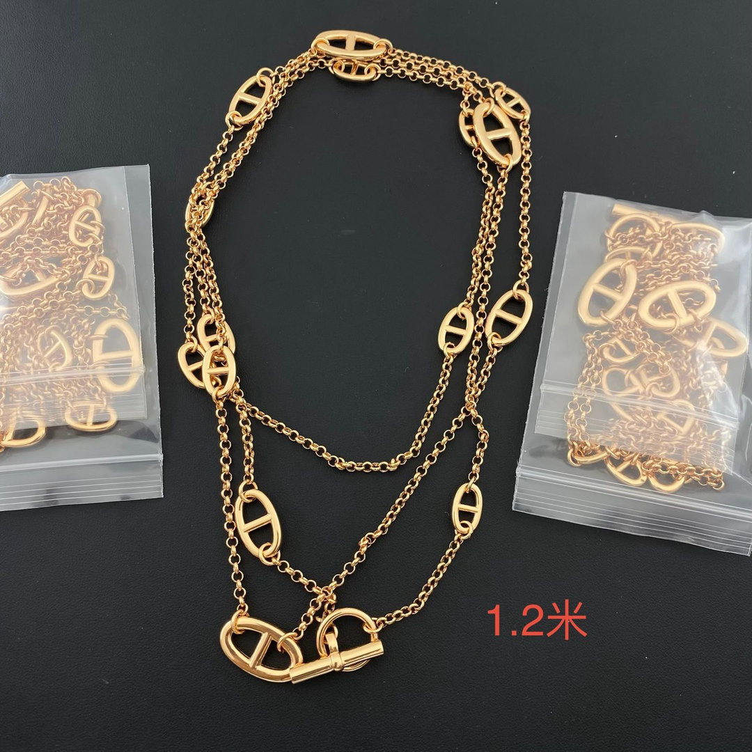 Hermes necklace arrived