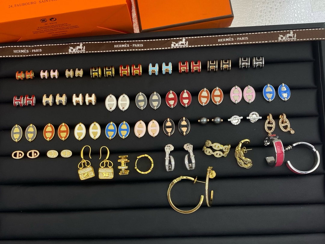 Hermes earrings collection picture