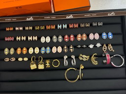 Hermes earrings collection picture