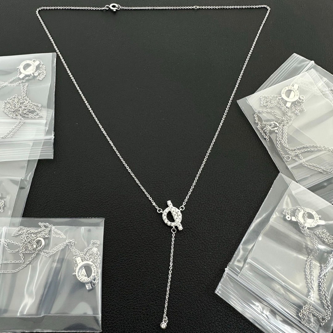 Hermes necklace arrived