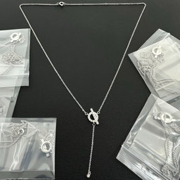 Hermes necklace arrived
