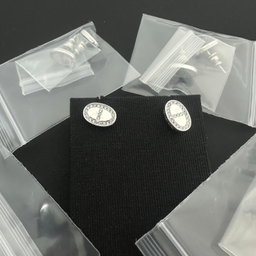 Hermes earrings arrive