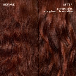 Amika - The Protector Color Protect + Strengthen Treatment