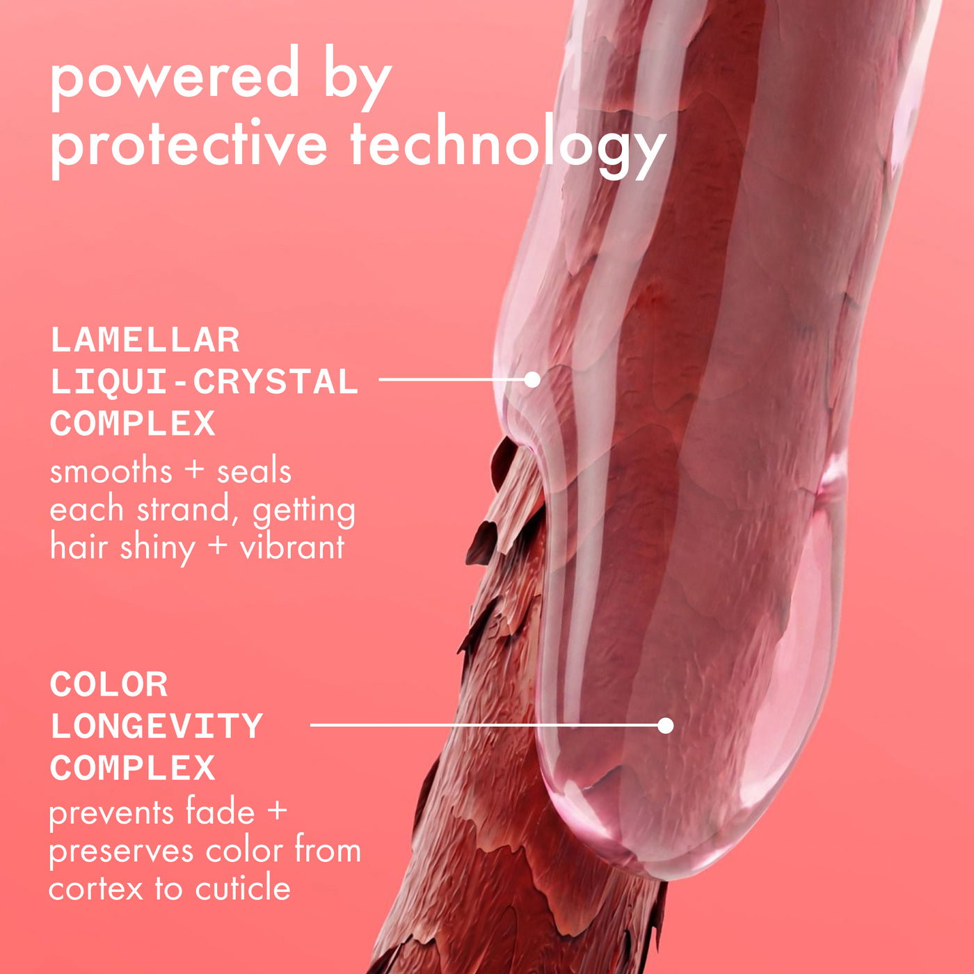 Amika - The Protector Color Protect + Strengthen Treatment_7