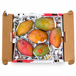 مانجو أوستن – مصر (2.5 كجم) / Austin Mango – Egypt (2.5kg)