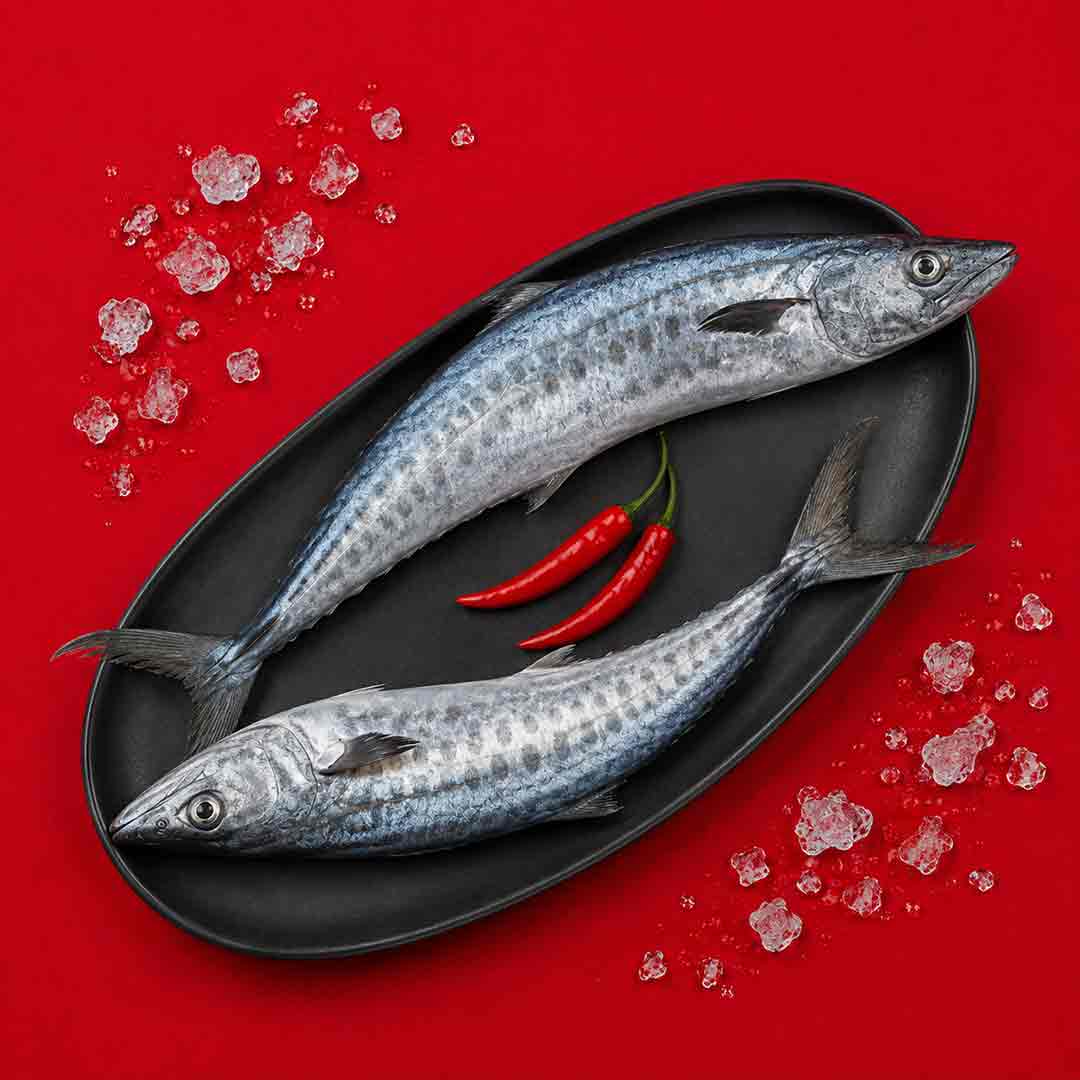 Seerfish / Vanjaram - Whole _1