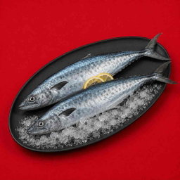 Seerfish / Vanjaram - Whole 