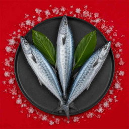 Seerfish / Vanjaram - Whole 