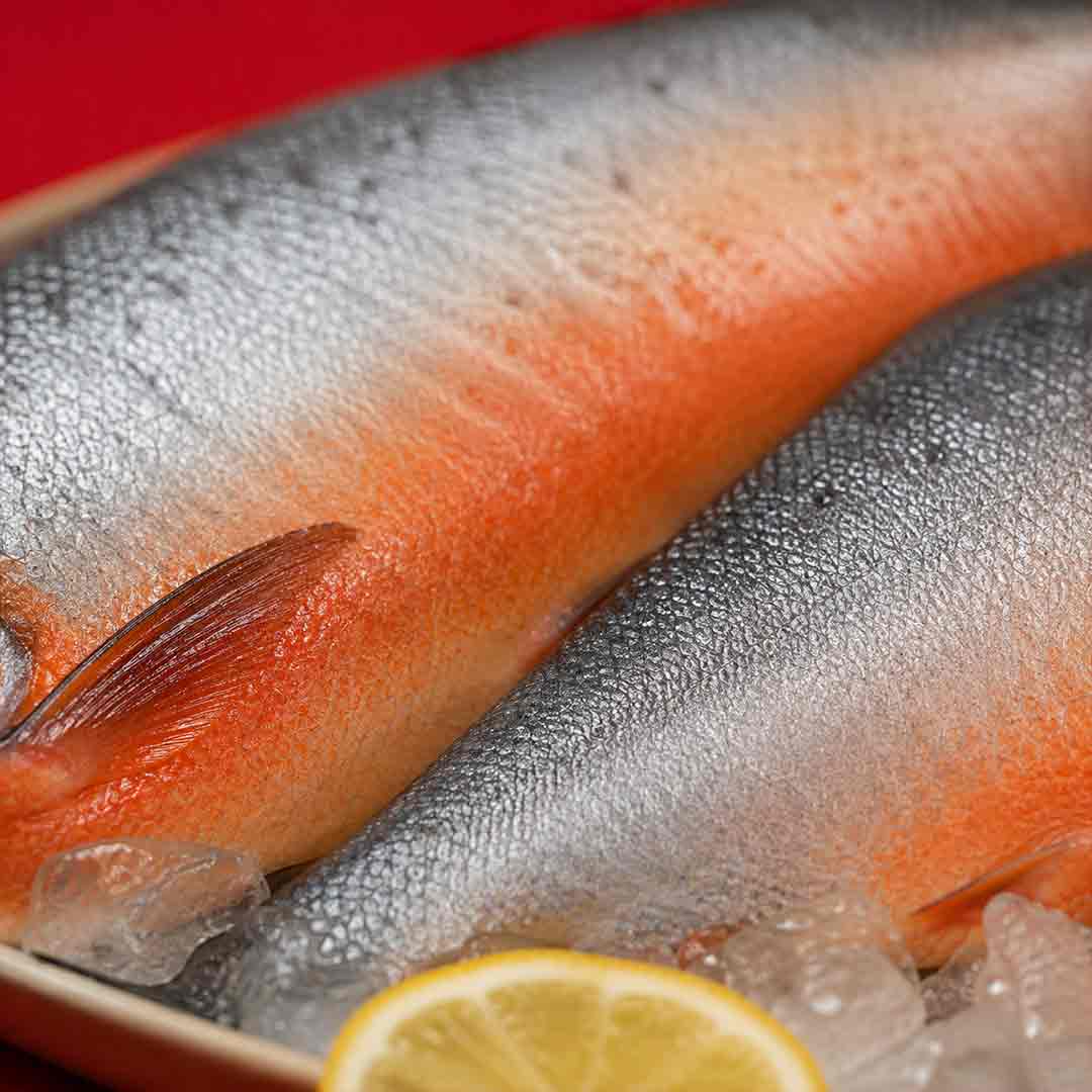 FreshWater Pomfret / Dam Vavval - Whole_3