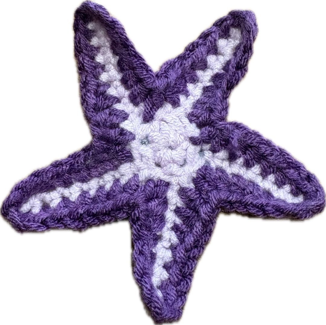 purple starfish clip