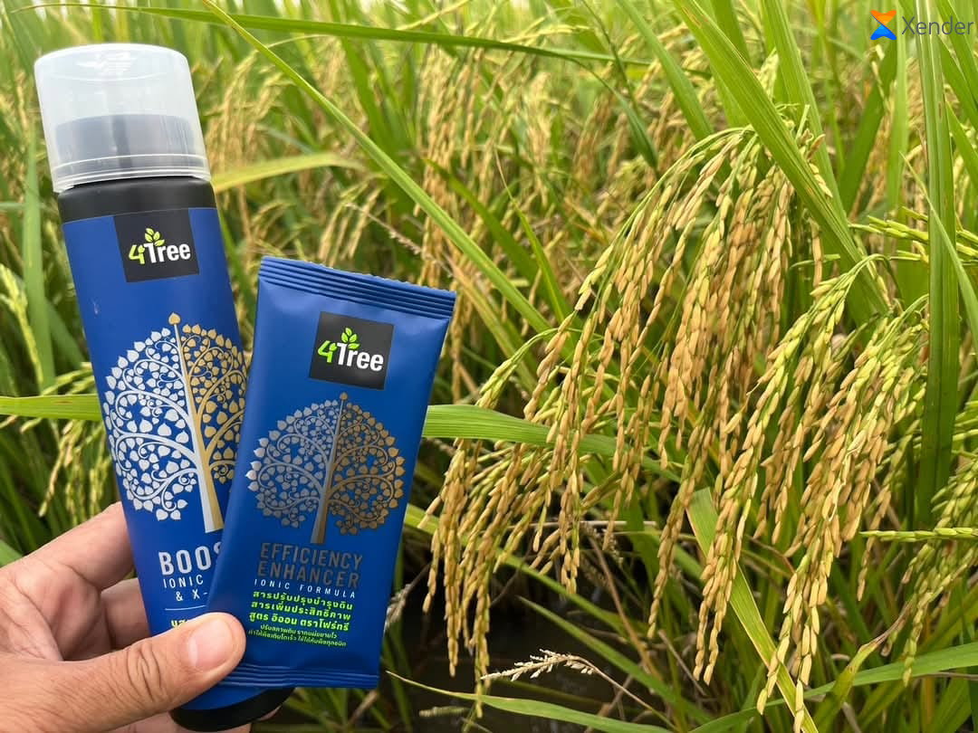 Engrais Bio en poudre
