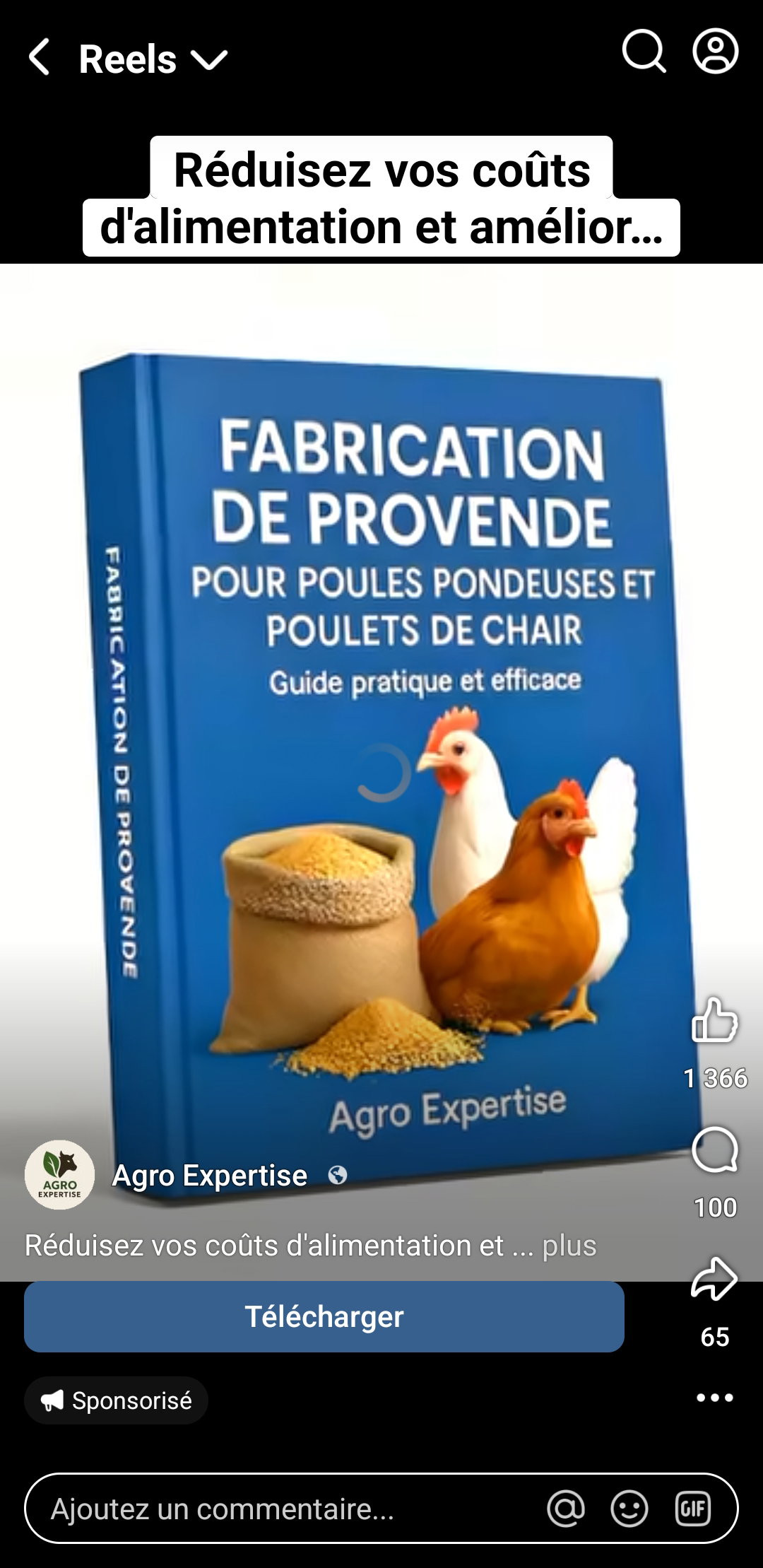 Document d'élevage de volaille_0