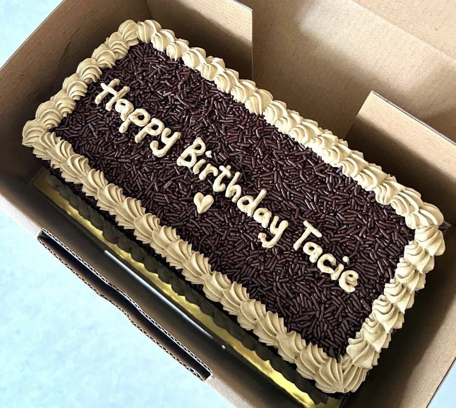 ᴍᴏᴄʜᴀ ᴇʙᴏɴʏ ʀᴇɢᴜʟᴀʀ ᴄᴀᴋᴇs🎂_4