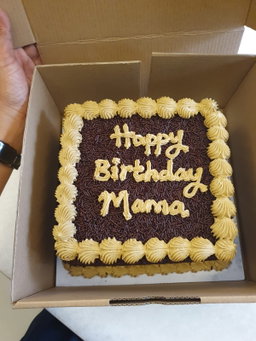 ᴍᴏᴄʜᴀ ᴇʙᴏɴʏ ʀᴇɢᴜʟᴀʀ ᴄᴀᴋᴇs🎂