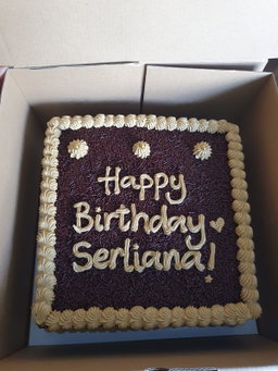 ᴍᴏᴄʜᴀ ᴇʙᴏɴʏ ʀᴇɢᴜʟᴀʀ ᴄᴀᴋᴇs🎂