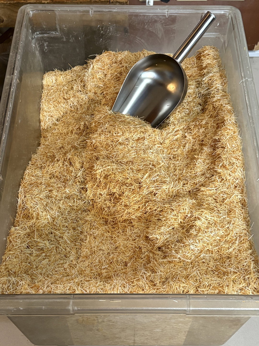 Toasted Kataifi