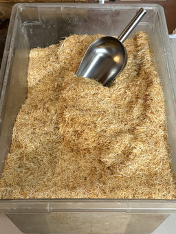 Toasted Kataifi