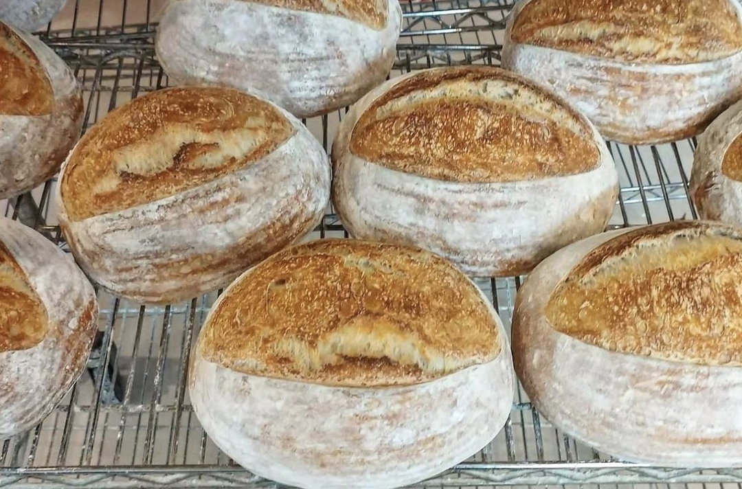 Sourdough Loaf