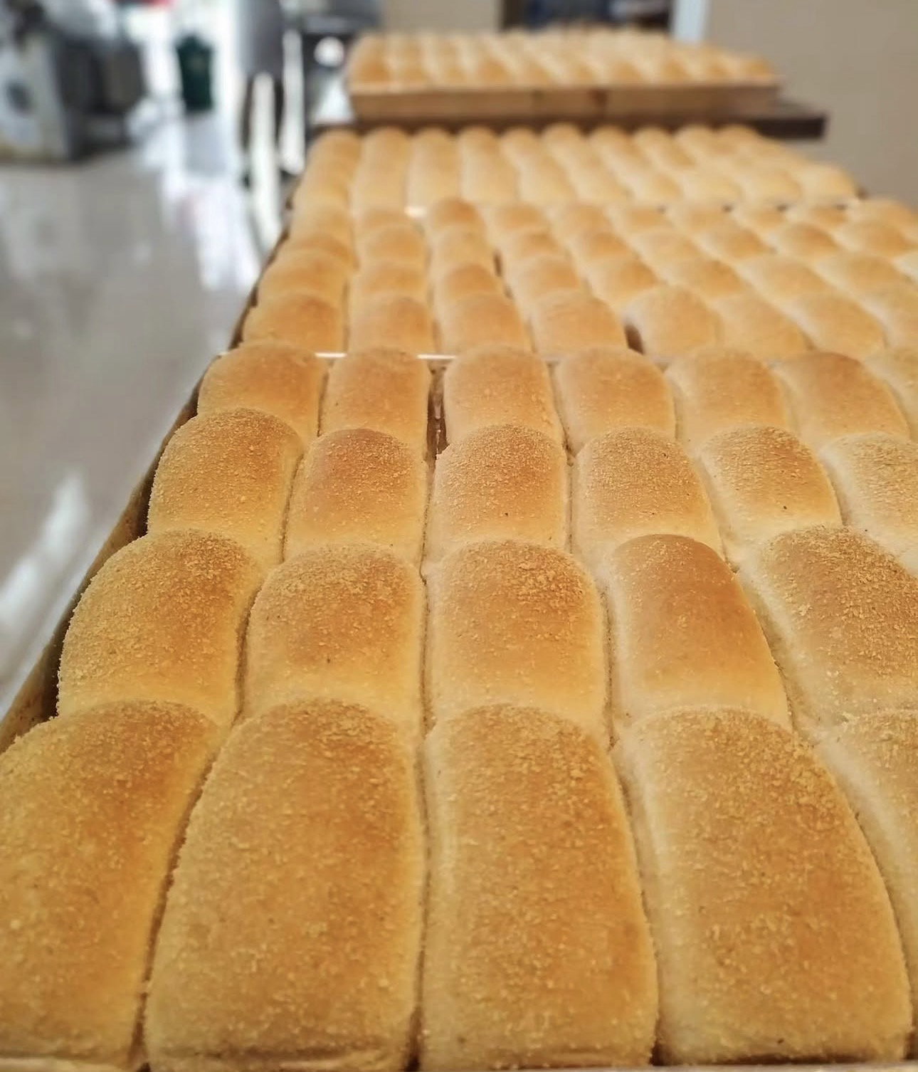 Sourdough Pandesal (10pcs)_0