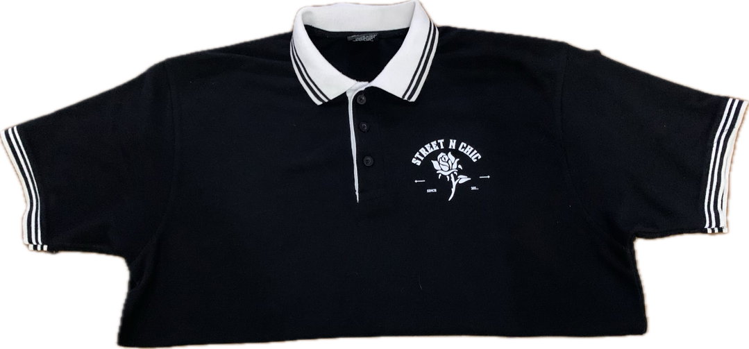 Ds Polo