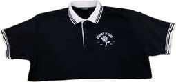 Ds Polo