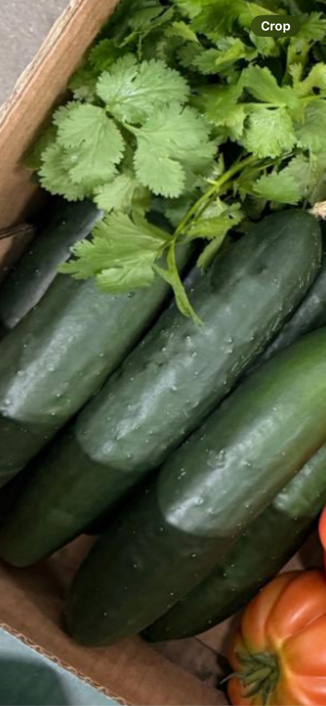 Pepino /per unit