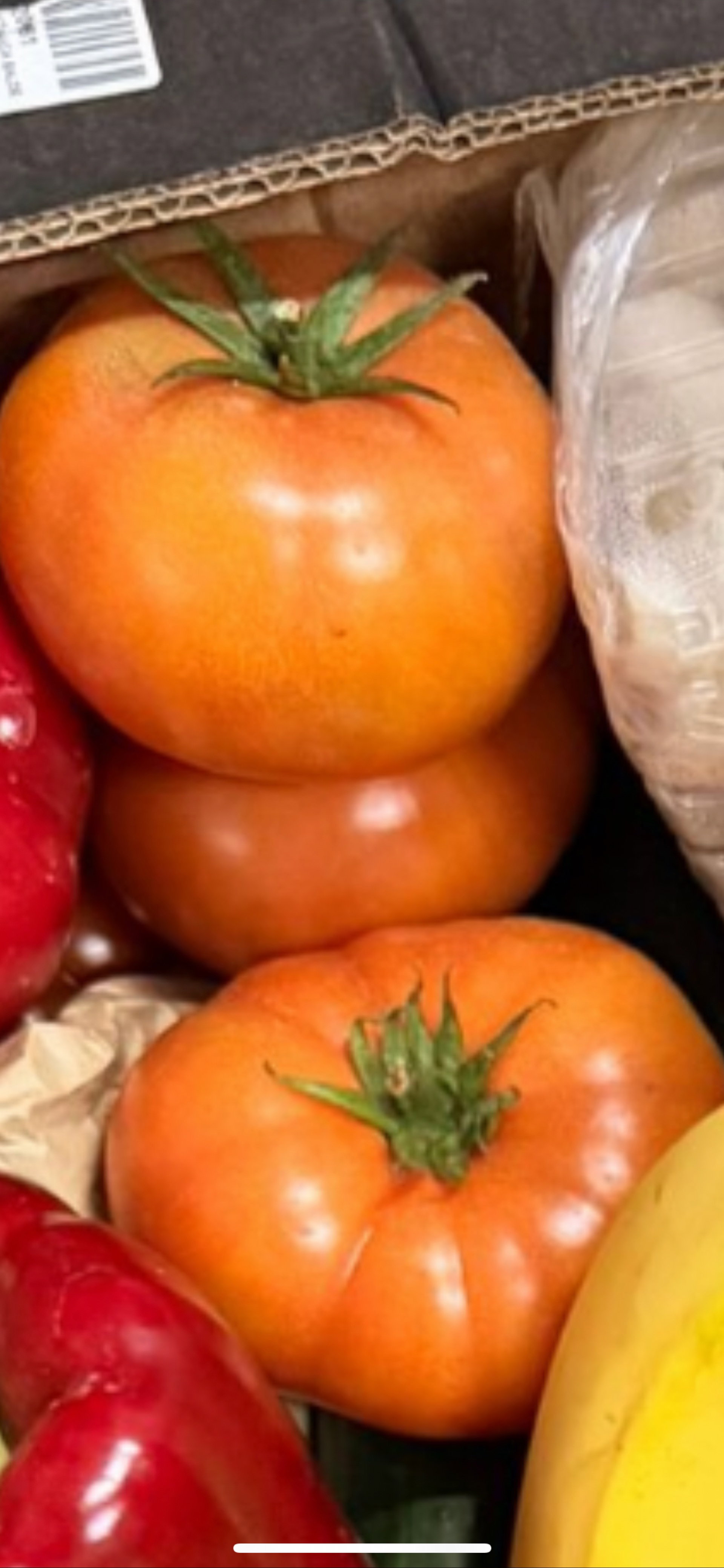 Tomate Salada / per unit_0