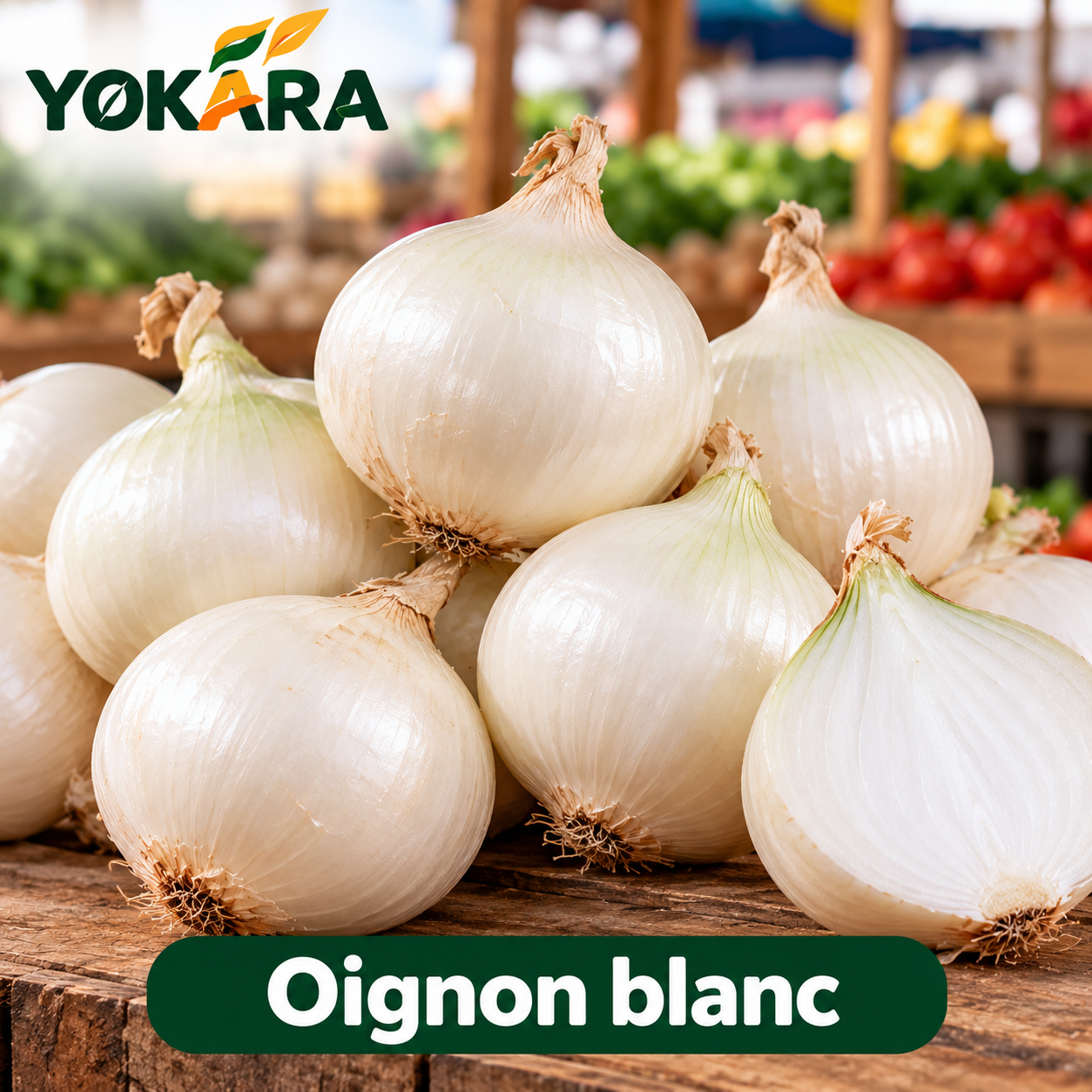 Oignon blanc_0