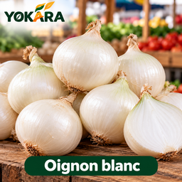 Oignon blanc