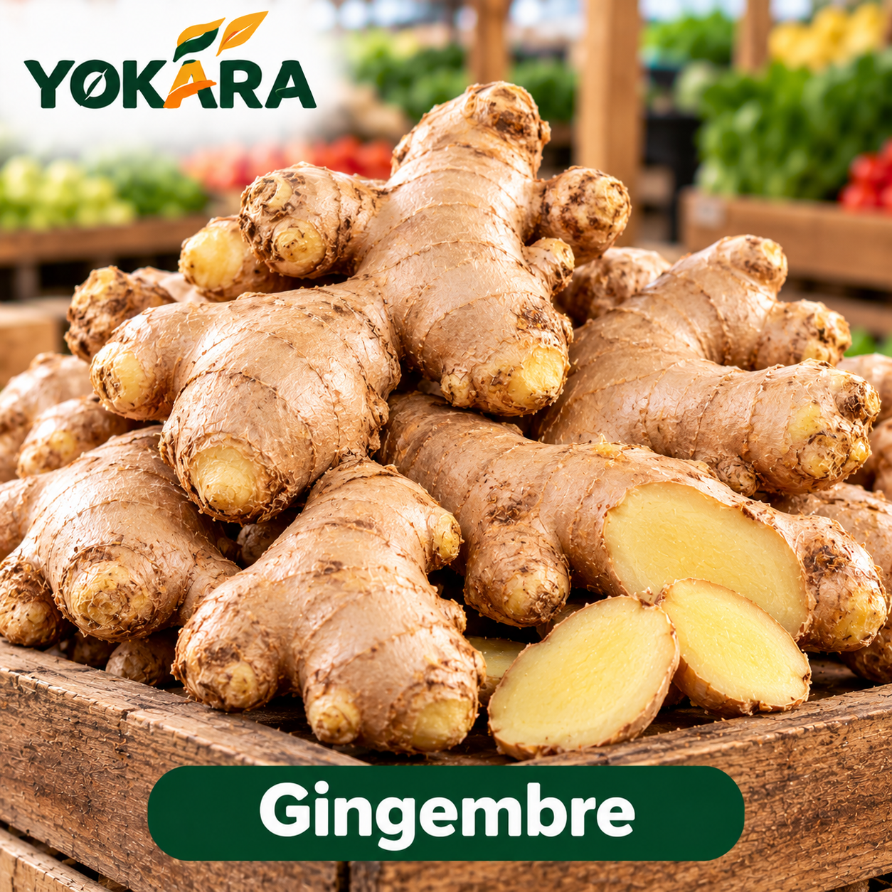Gingembre_0