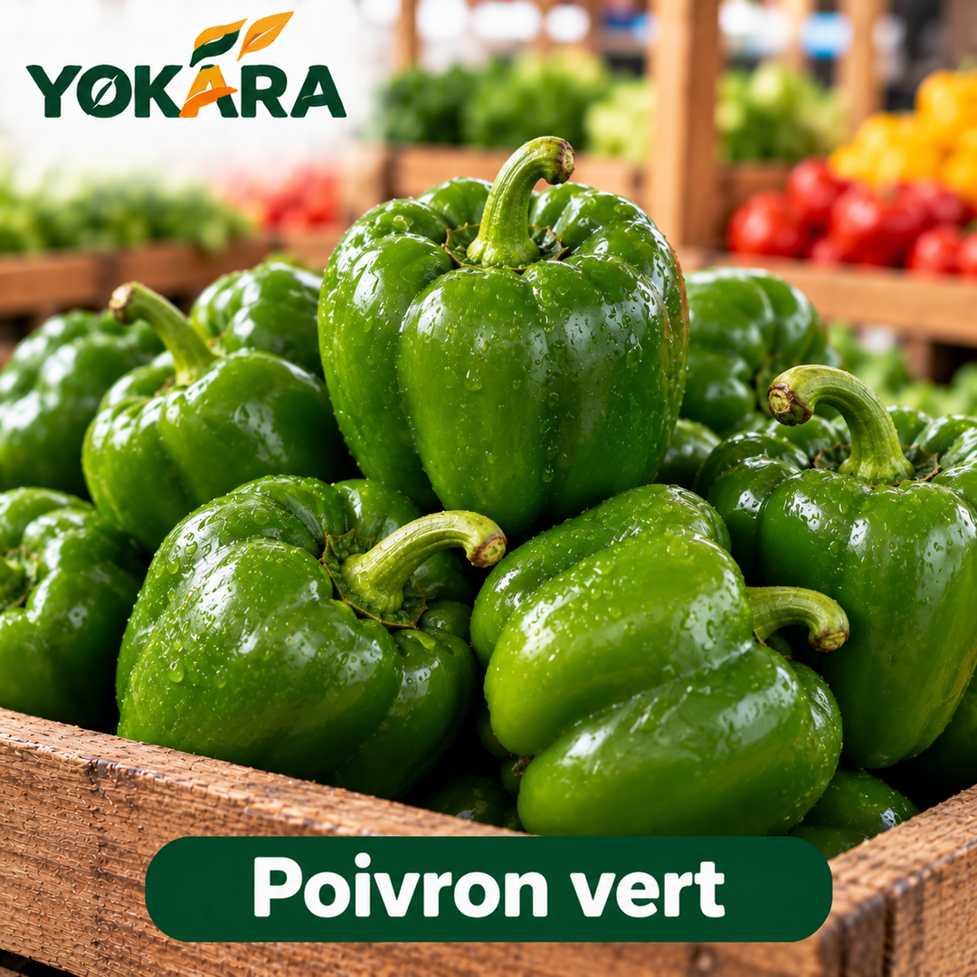 Poivron