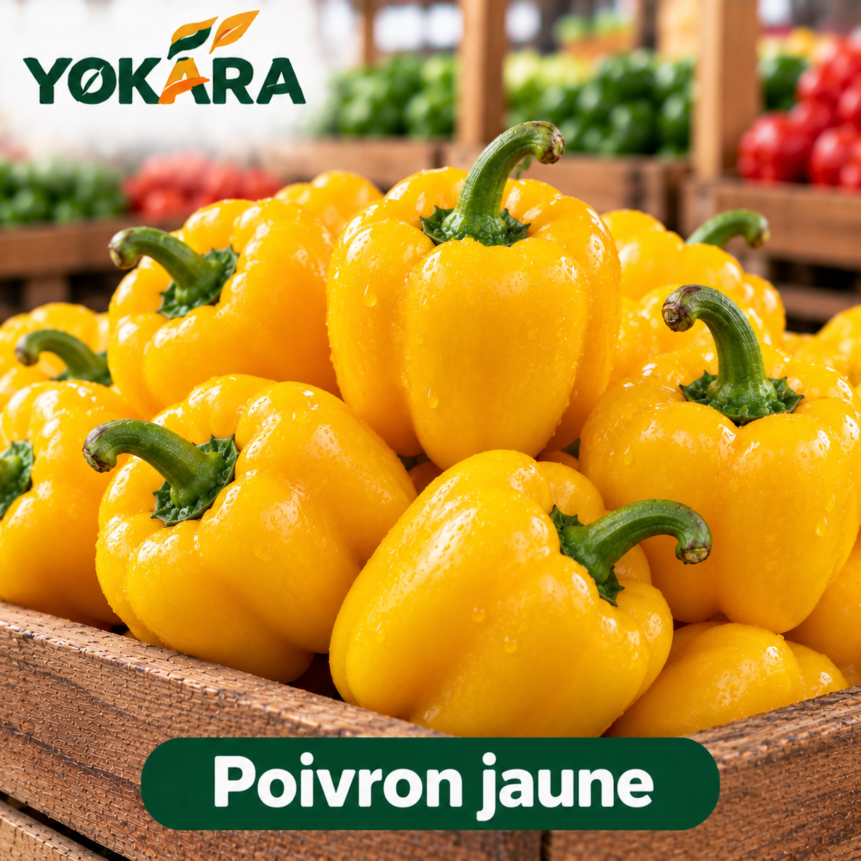 Poivron_1