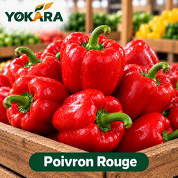Poivron