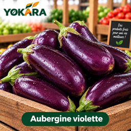 Aubergine violette