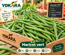 Haricot vert