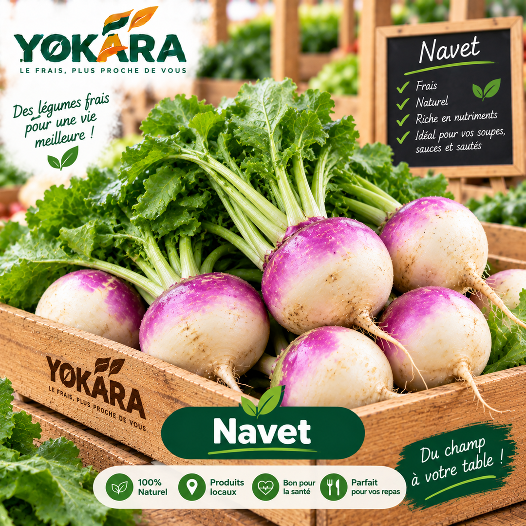 Navet
