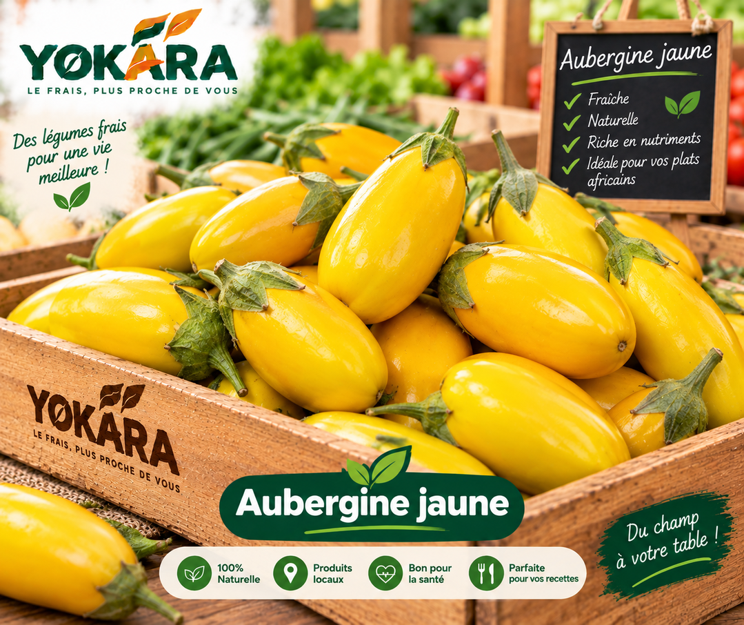 Aubergine jaune