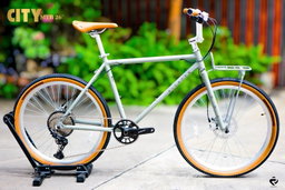 Richter All-city 26" Gray
