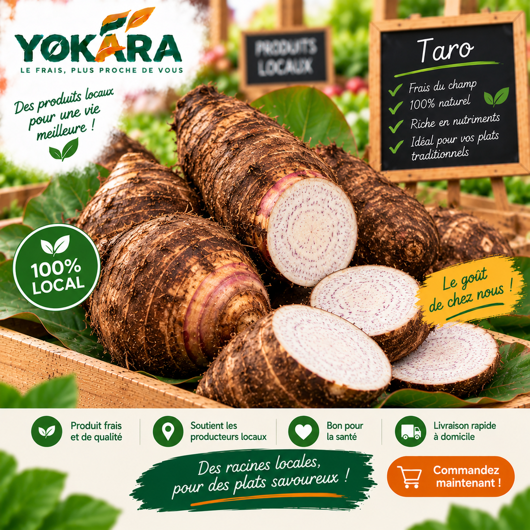 Taro
