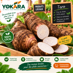 Taro