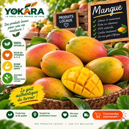 Mangue