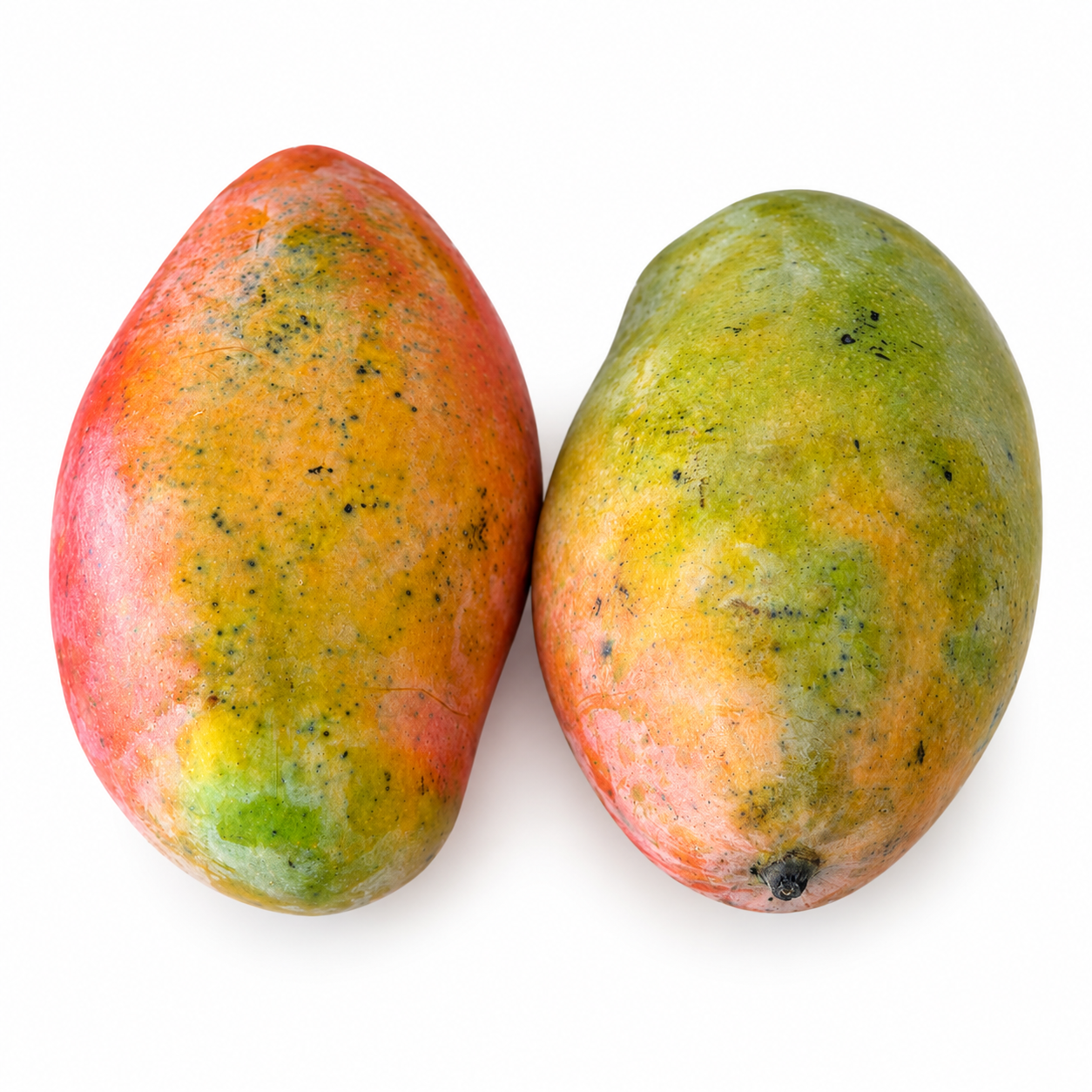 مانجو أوستن – مصر (2 حبة) / Austin Mango – Egypt (2pcs)_0