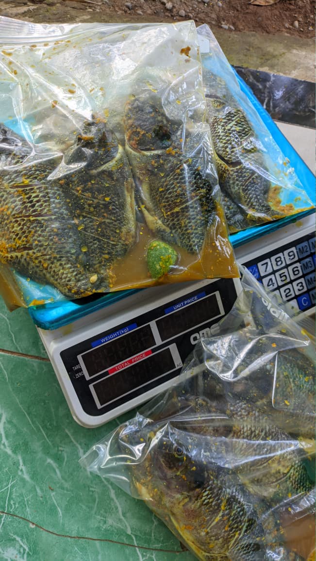 ikan nila marinasi _1