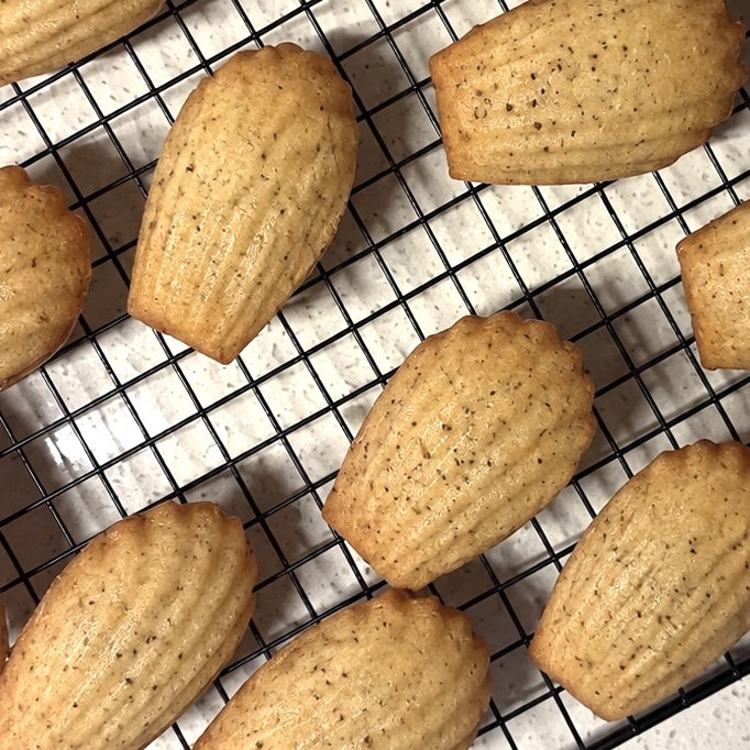 Earl Grey Madeleines_0