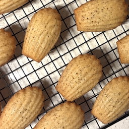 Earl Grey Madeleines