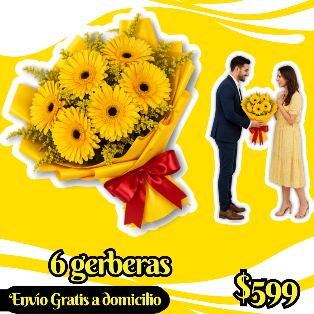 6 gerberas