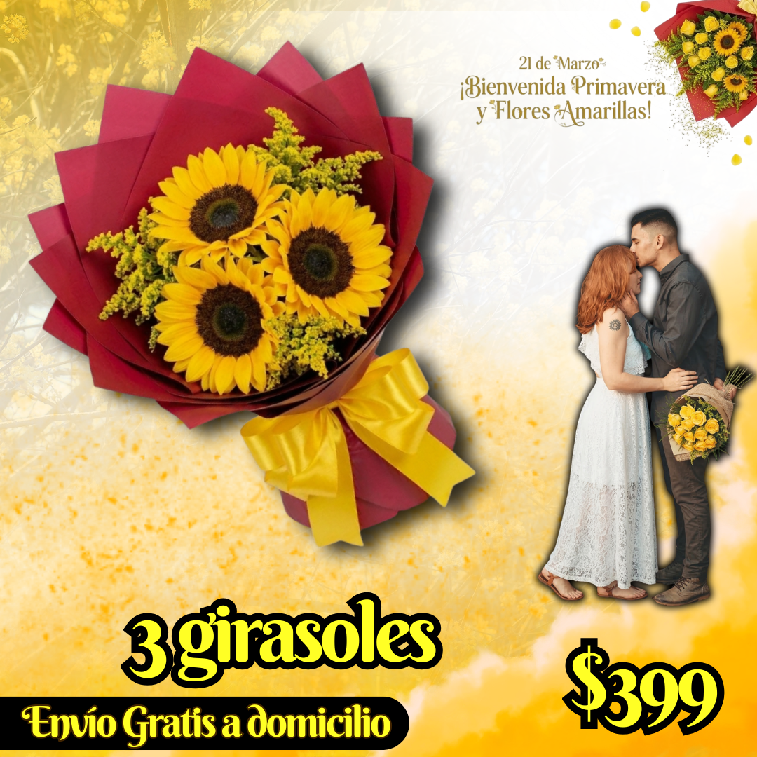 3 girasoles