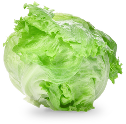 Ansalaato